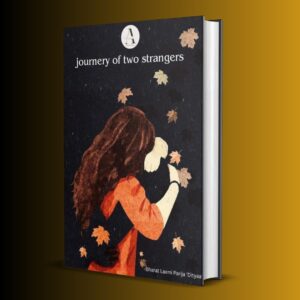 Journey Of Two Strangers